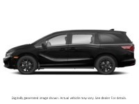 2024 Honda Odyssey Black Edition Auto Exterior Shot 6